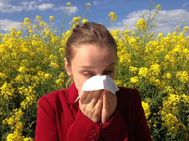 Ionisuer d'air pour lutter contre allergie au pollen